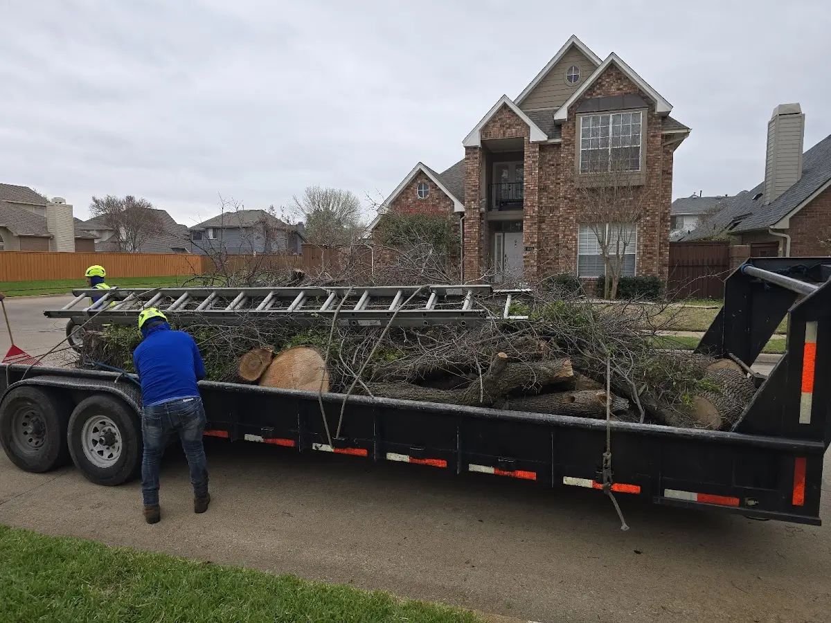 Expert Crown Reduction with proper safety equipment in Orland